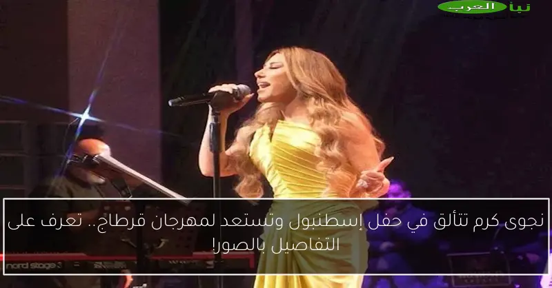 نجوى كرم تتألق في حفل إسطنبول وتستعد لمهرجان قرطاج.. تعرف على التفاصيل بالصور!