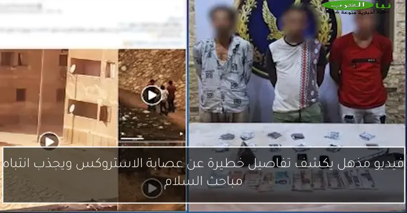 فيديو مذهل يكشف تفاصيل خطيرة عن عصابة الاستروكس ويجذب انتباه مباحث السلام