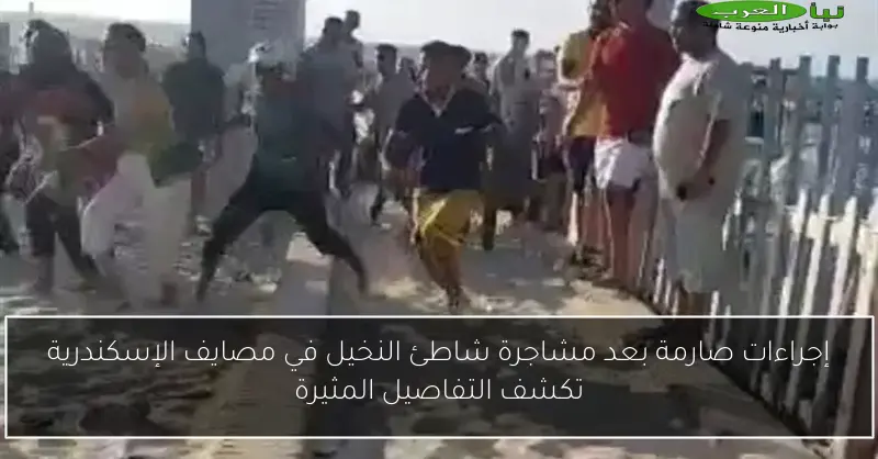 إجراءات صارمة بعد مشاجرة شاطئ النخيل في مصايف الإسكندرية تكشف التفاصيل المثيرة