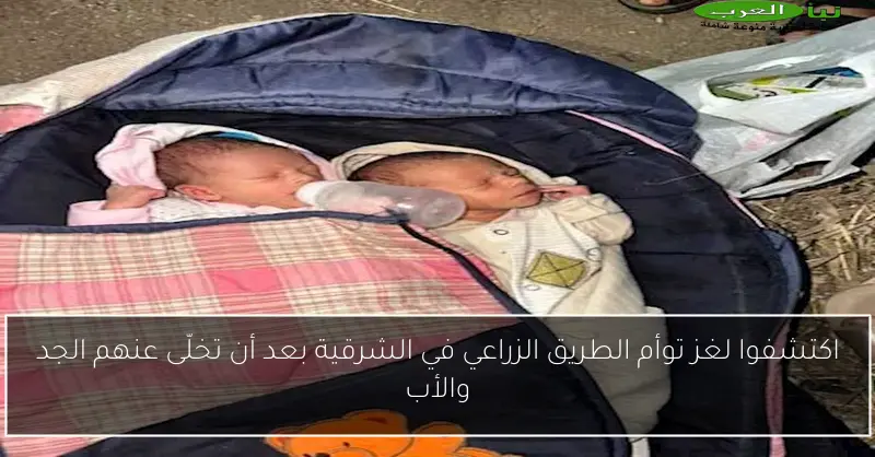 اكتشفوا لغز توأم الطريق الزراعي في الشرقية بعد أن تخلّى عنهم الجد والأب