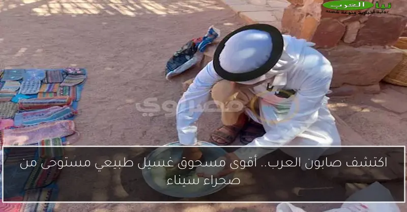 اكتشف صابون العرب.. أقوى مسحوق غسيل طبيعي مستوحى من صحراء سيناء