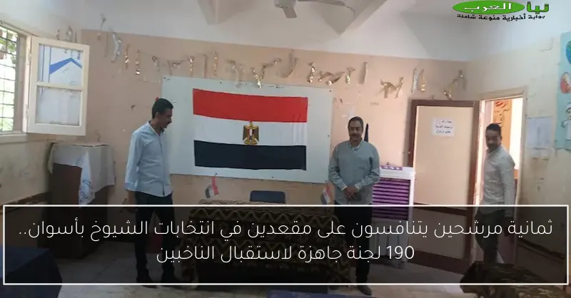 ثمانية مرشحين يتنافسون على مقعدين في انتخابات الشيوخ بأسوان.. 190 لجنة جاهزة لاستقبال الناخبين