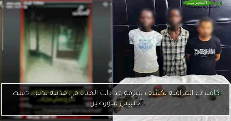 كاميرات المراقبة تكشف سرقة عدادات المياه في مدينة نصر.. ضبط أجنبيين متورطين