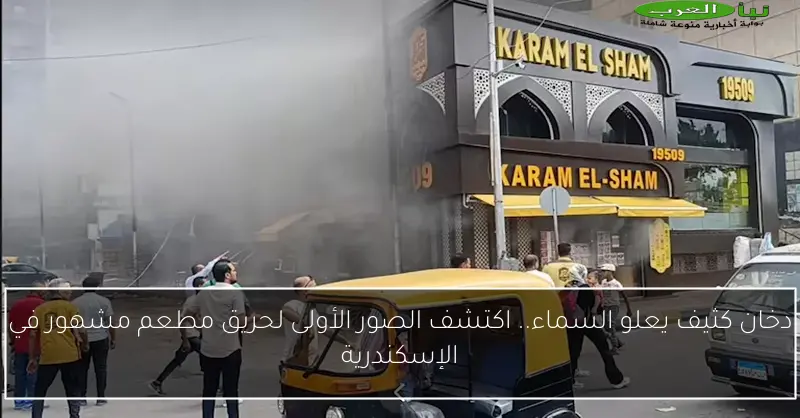 دخان كثيف يعلو السماء.. اكتشف الصور الأولى لحريق مطعم مشهور في الإسكندرية
