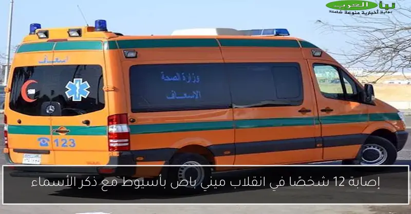 إصابة 12 شخصًا في انقلاب ميني باص بأسيوط مع ذكر الأسماء