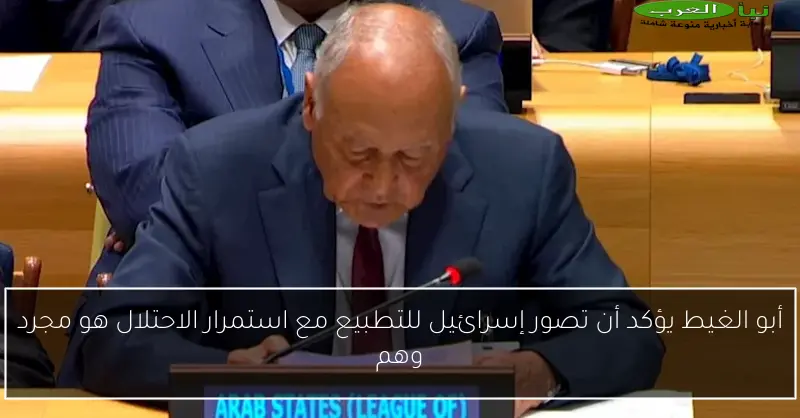 أبو الغيط يؤكد أن تصور إسرائيل للتطبيع مع استمرار الاحتلال هو مجرد وهم
