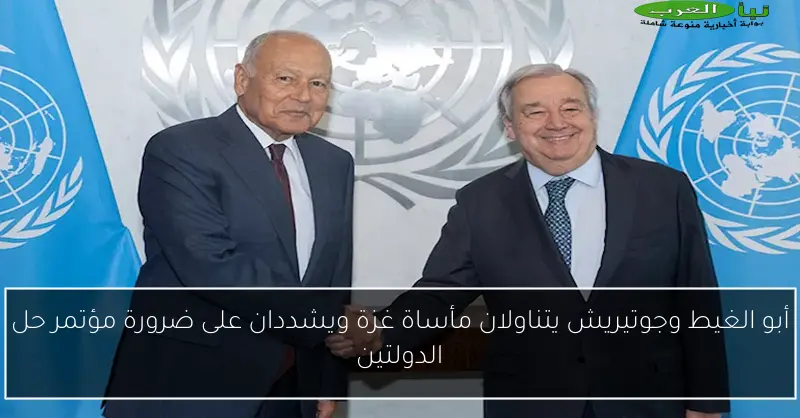 أبو الغيط وجوتيريش يتناولان مأساة غزة ويشددان على ضرورة مؤتمر حل الدولتين