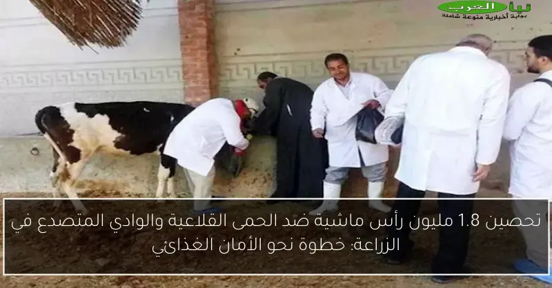 تحصين 1.8 مليون رأس ماشية ضد الحمى القلاعية والوادي المتصدع في الزراعة: خطوة نحو الأمان الغذائي
