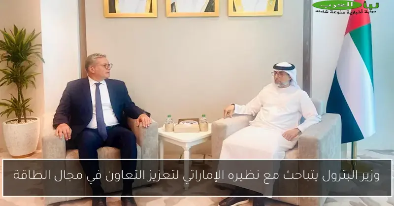 وزير البترول يتباحث مع نظيره الإماراتي لتعزيز التعاون في مجال الطاقة