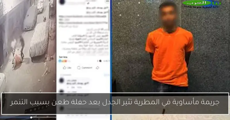 جريمة مأساوية في المطرية تثير الجدل بعد حفلة طعن بسبب التنمر