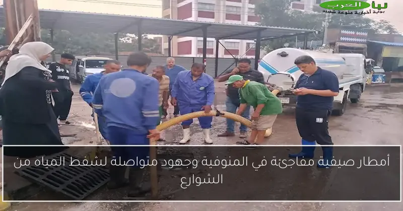 أمطار صيفية مفاجئة في المنوفية وجهود متواصلة لشفط المياه من الشوارع