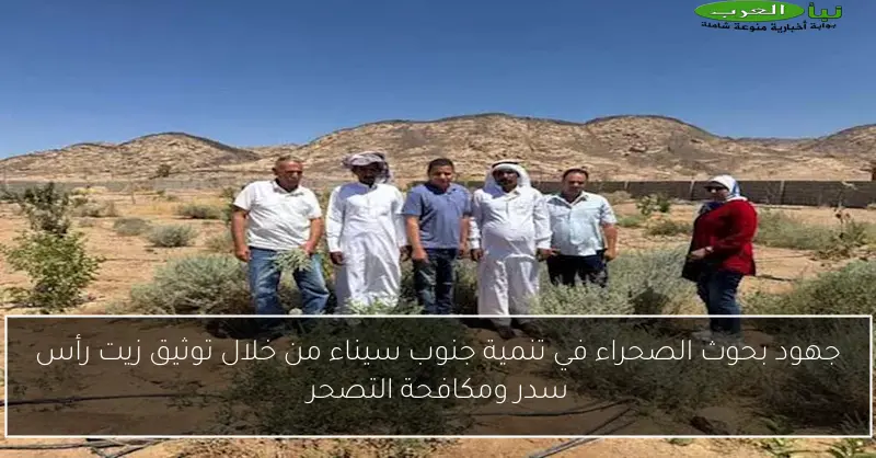 جهود بحوث الصحراء في تنمية جنوب سيناء من خلال توثيق زيت رأس سدر ومكافحة التصحر