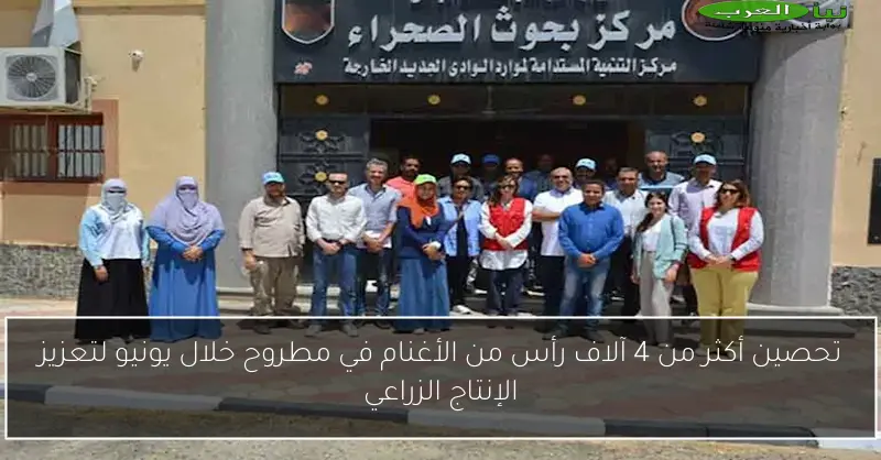 تحصين أكثر من 4 آلاف رأس من الأغنام في مطروح خلال يونيو لتعزيز الإنتاج الزراعي