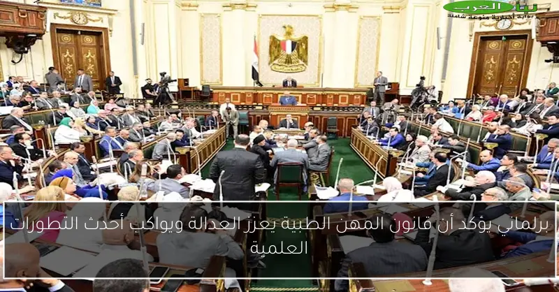 برلماني يؤكد أن قانون المهن الطبية يعزز العدالة ويواكب أحدث التطورات العلمية