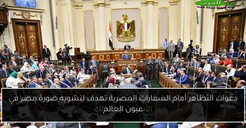 دعوات التظاهر أمام السفارات المصرية تهدف لتشويه صورة مصر في عيون العالم