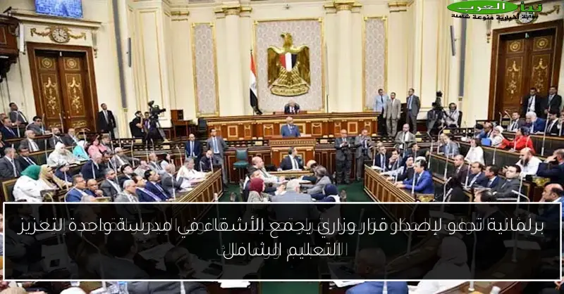 برلمانية تدعو لإصدار قرار وزاري يجمع الأشقاء في مدرسة واحدة لتعزيز التعليم الشامل