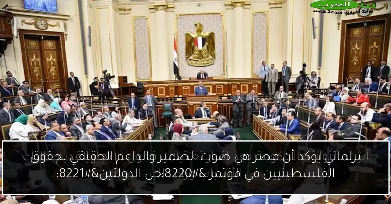 برلماني يؤكد أن مصر هي صوت الضمير والداعم الحقيقي لحقوق الفلسطينيين في مؤتمر “حل الدولتين”