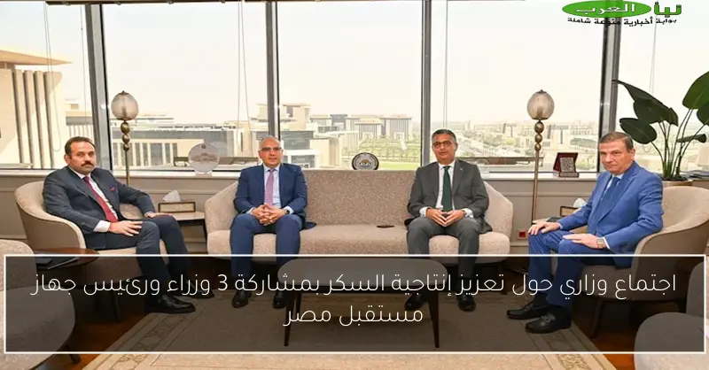 اجتماع وزاري حول تعزيز إنتاجية السكر بمشاركة 3 وزراء ورئيس جهاز مستقبل مصر