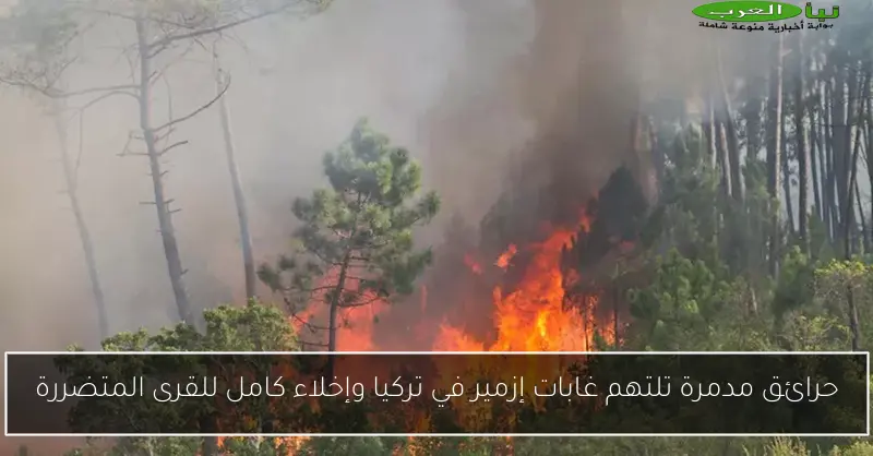 حرائق مدمرة تلتهم غابات إزمير في تركيا وإخلاء كامل للقرى المتضررة