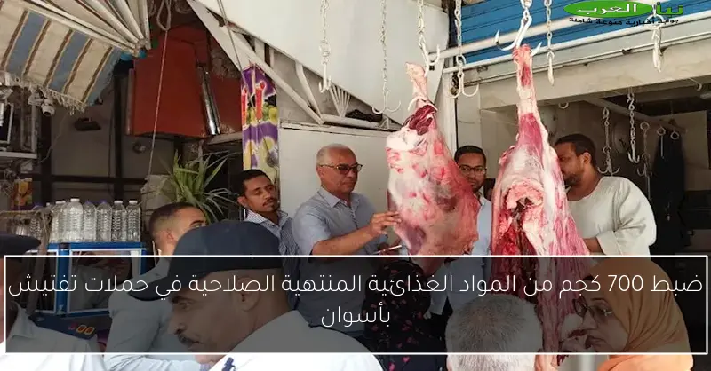 ضبط 700 كجم من المواد الغذائية المنتهية الصلاحية في حملات تفتيش بأسوان
