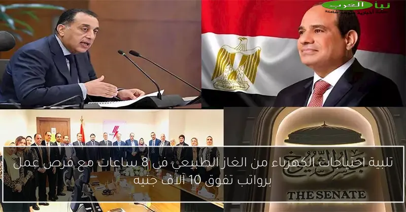 تلبية احتياجات الكهرباء من الغاز الطبيعي في 8 ساعات مع فرص عمل برواتب تفوق 10 آلاف جنيه