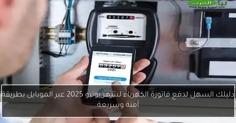 دليلك السهل لدفع فاتورة الكهرباء لشهر يونيو 2025 عبر الموبايل بطريقة آمنة وسريعة