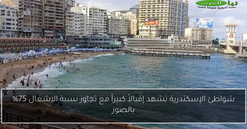 شواطئ الإسكندرية تشهد إقبالاً كبيراً مع تجاوز نسبة الإشغال 75% بالصور