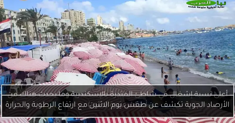 الأرصاد الجوية تكشف عن طقس يوم الاثنين مع ارتفاع الرطوبة والحرارة