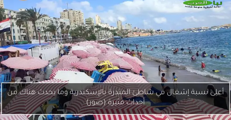 أعلى نسبة إشغال في شاطئ المندرة بالإسكندرية وما يحدث هناك من أحداث مثيرة (صور)