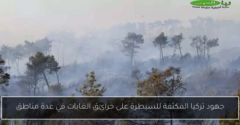 جهود تركيا المكثفة للسيطرة على حرائق الغابات في عدة مناطق