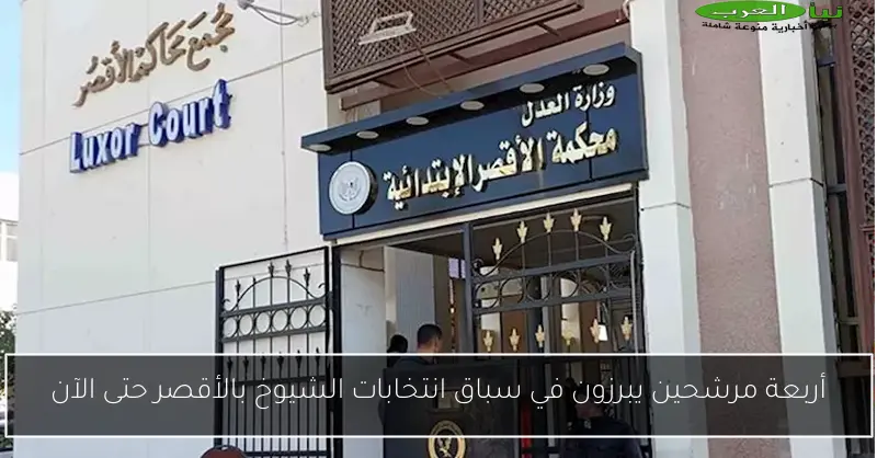 أربعة مرشحين يبرزون في سباق انتخابات الشيوخ بالأقصر حتى الآن