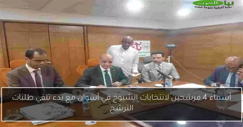 أسماء 4 مرشحين لانتخابات الشيوخ في أسوان مع بدء تلقي طلبات الترشح