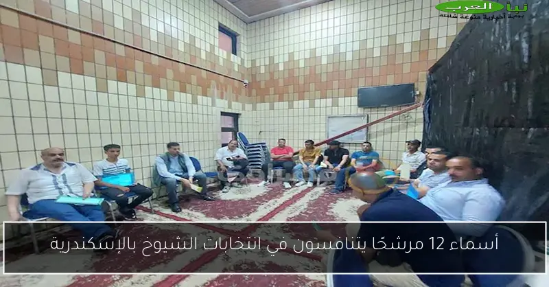 أسماء 12 مرشحًا يتنافسون في انتخابات الشيوخ بالإسكندرية