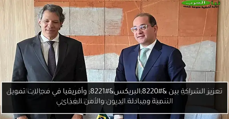 تعزيز الشراكة بين “البريكس” وأفريقيا في مجالات تمويل التنمية ومبادلة الديون والأمن الغذائي
