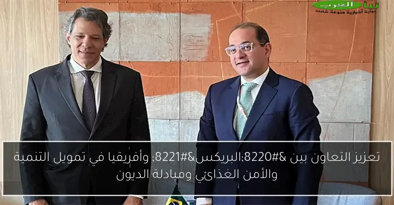تعزيز التعاون بين “البريكس” وأفريقيا في تمويل التنمية والأمن الغذائي ومبادلة الديون