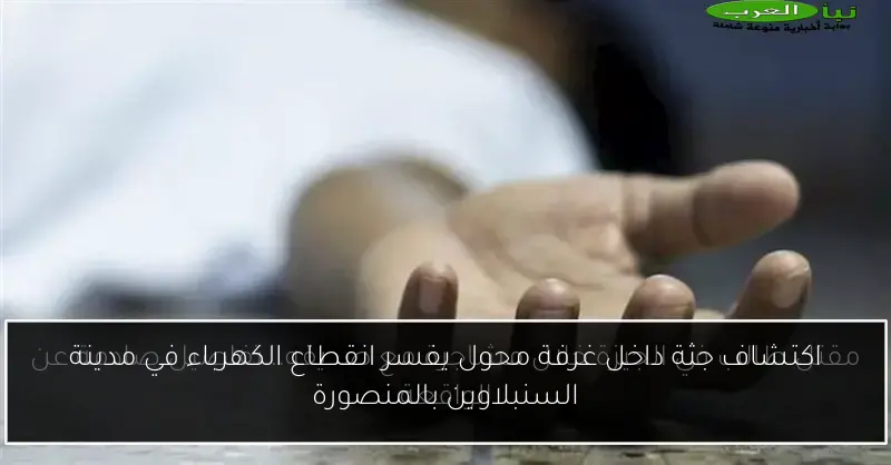 اكتشاف جثة داخل غرفة محول يفسر انقطاع الكهرباء في مدينة السنبلاوين بالمنصورة