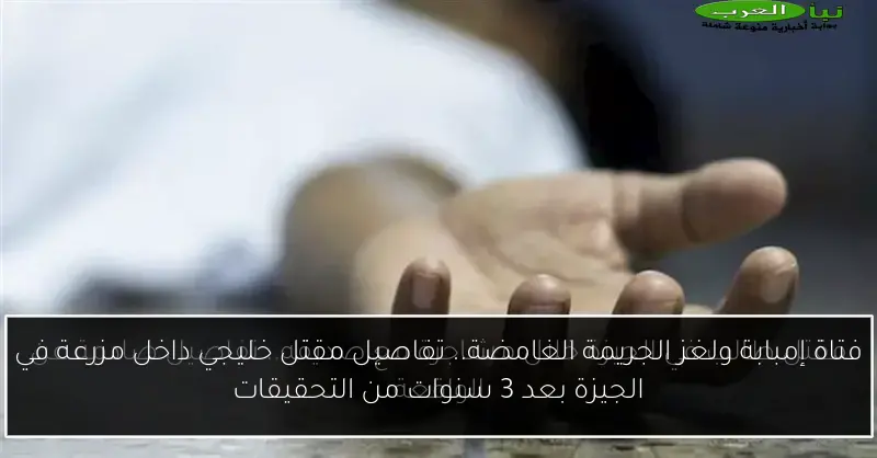 فتاة إمبابة ولغز الجريمة الغامضة.. تفاصيل مقتل خليجي داخل مزرعة في الجيزة بعد 3 سنوات من التحقيقات