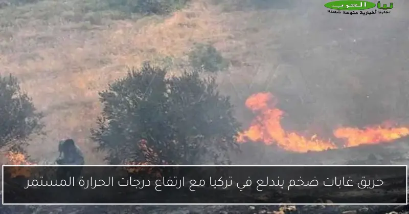 حريق غابات ضخم يندلع في تركيا مع ارتفاع درجات الحرارة المستمر