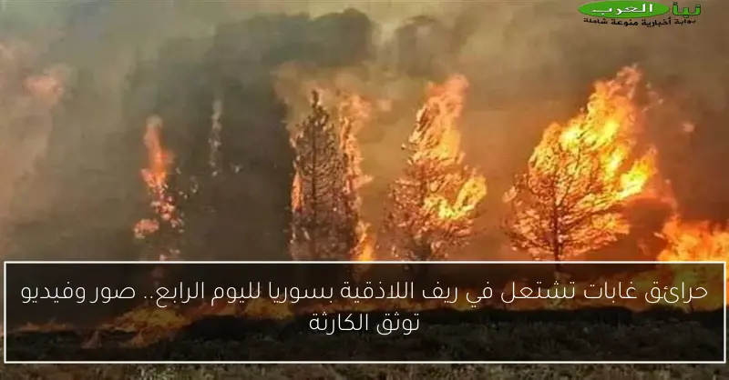 حرائق غابات تشتعل في ريف اللاذقية بسوريا لليوم الرابع.. صور وفيديو توثق الكارثة