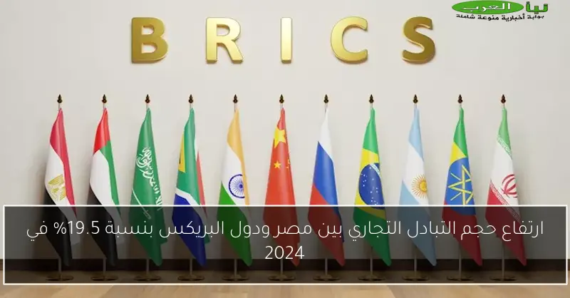 ارتفاع حجم التبادل التجاري بين مصر ودول البريكس بنسبة 19.5% في 2024