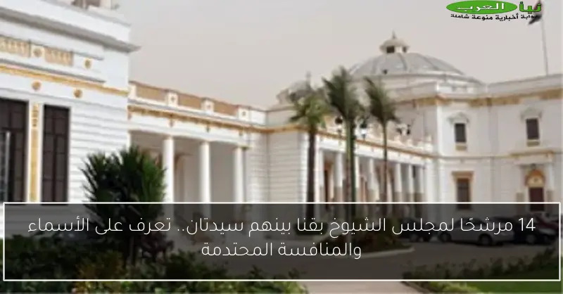 14 مرشحًا لمجلس الشيوخ بقنا بينهم سيدتان.. تعرف على الأسماء والمنافسة المحتدمة