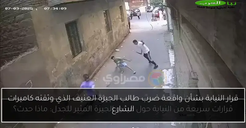 قرار النيابة بشأن واقعة ضرب طالب الجيزة العنيف الذي وثقته كاميرات الشارع