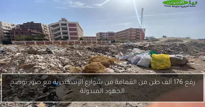 رفع 176 ألف طن من القمامة من شوارع الإسكندرية مع صور توضح الجهود المبذولة