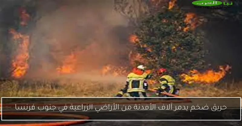 حريق ضخم يدمر آلاف الأفدنة من الأراضي الزراعية في جنوب فرنسا
