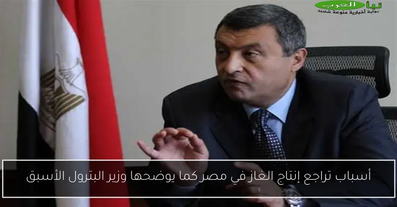 أسباب تراجع إنتاج الغاز في مصر كما يوضحها وزير البترول الأسبق