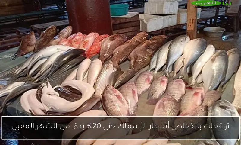 توقعات بانخفاض أسعار الأسماك حتى 20% بدءًا من الشهر المقبل