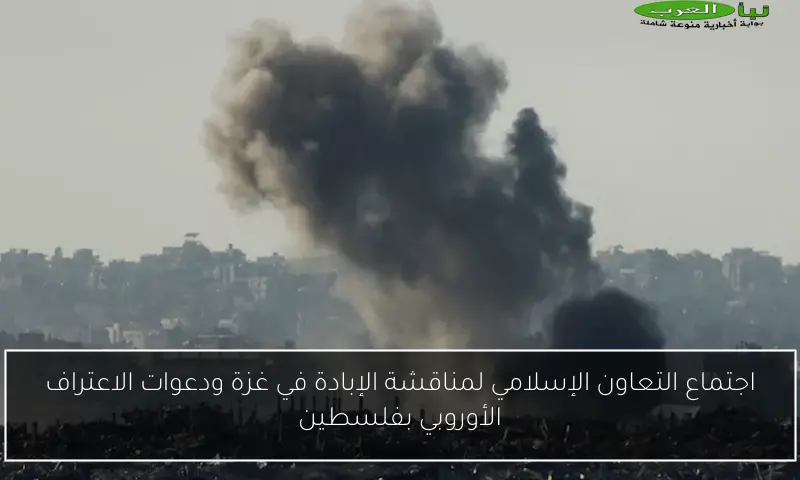 اجتماع التعاون الإسلامي لمناقشة الإبادة في غزة ودعوات الاعتراف الأوروبي بفلسطين