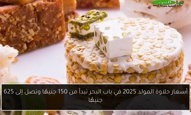 أسعار حلاوة المولد 2025 في باب البحر تبدأ من 150 جنيهًا وتصل إلى 625 جنيهًا