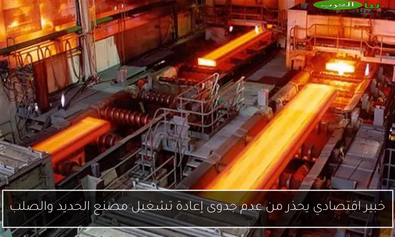 خبير اقتصادي يحذر من عدم جدوى إعادة تشغيل مصنع الحديد والصلب