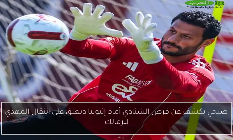 صبحي يكشف عن فرص الشناوي أمام إثيوبيا ويعلق على انتقال المهدي للزمالك